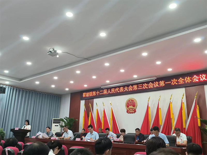 全面學習領(lǐng)會精神 凝心聚力謀發(fā)展